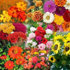 Mix Flower Seeds (Random Mix)