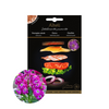 BROMPTON STOCK Edible Flower Seeds